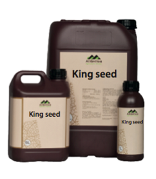 King Seed (Raykat), 5l