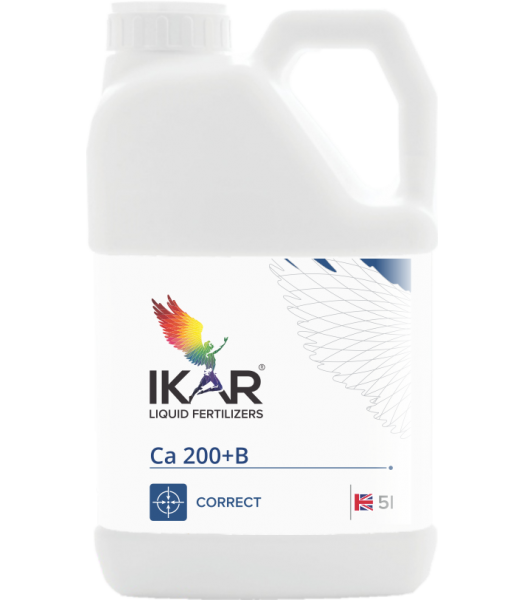 IKAR Ca130+B 