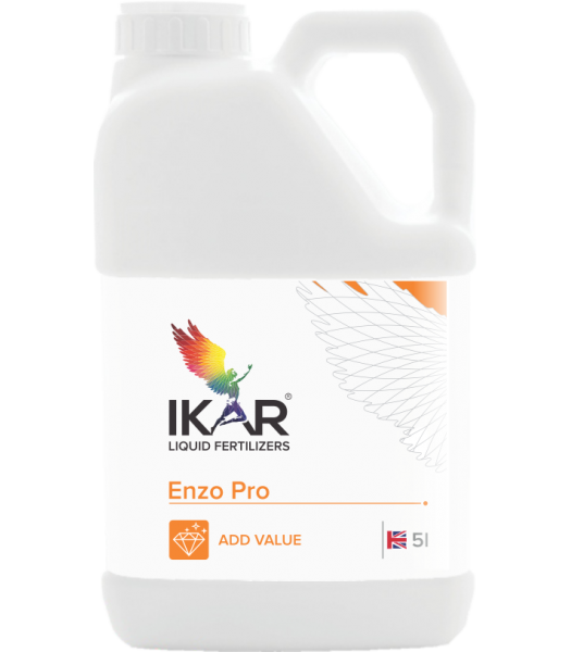IKAR Enzo Pro