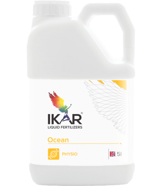 IKAR Ocean 